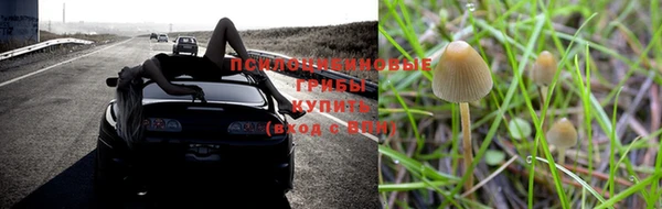 не бодяженный Касимов