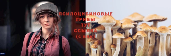 MESCALINE Тавда