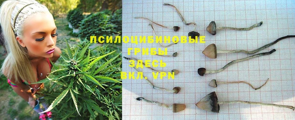 не бодяженный Касимов