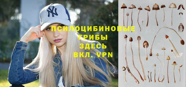 не бодяженный Касимов