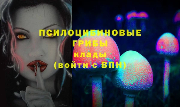 Альфа ПВП Карталы